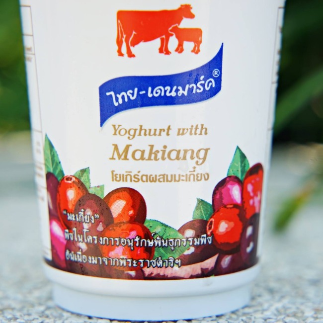 thaidenmark-yoghurt-makiang