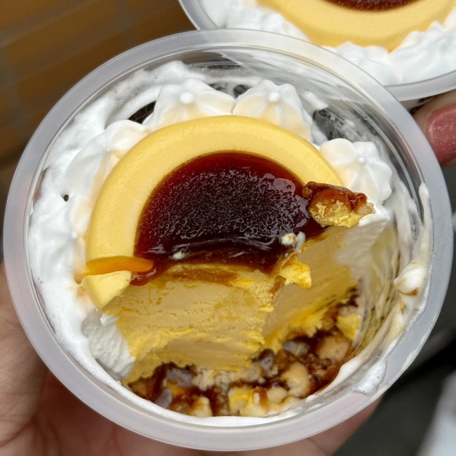 kinnhom-review-japan-ice-cream-pudding-7-11-3