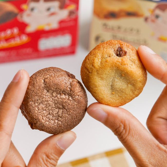 fujiya-chocochip-cookies-6