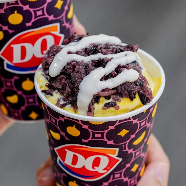 brizzard-durian-dq-3