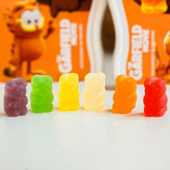 jolly-bears-x-garfield-7