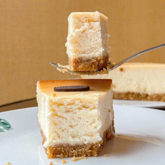 new-york-cheese-cake-starbucks-4