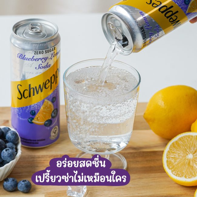 schweppes-blueberry-lemon-3