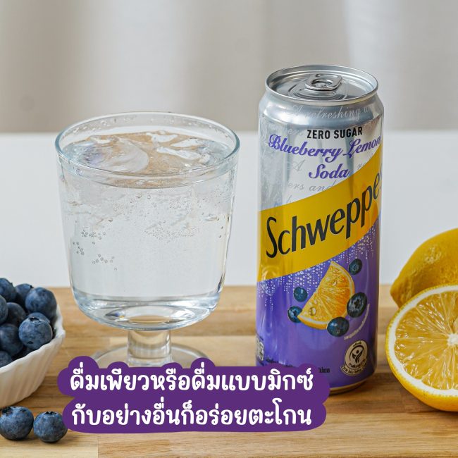 schweppes-blueberry-lemon-4