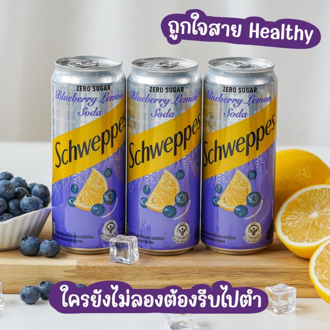 schweppes-blueberry-lemon-6