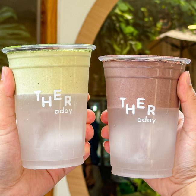 ther-aday-speciality-coconut-8