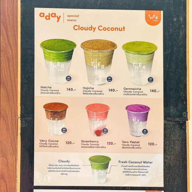 ther-aday-speciality-coconut-9