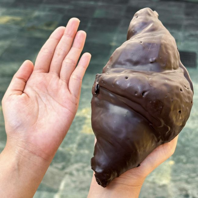 paul-croissant-chocolate-3