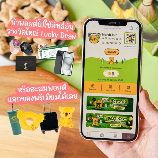 koalas-march-uji-matcha-reward-6