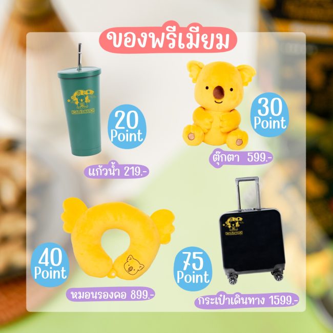 koalas-march-uji-matcha-reward-9