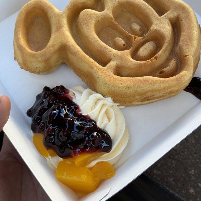 disneyland-hk-waffle-linnabell-3
